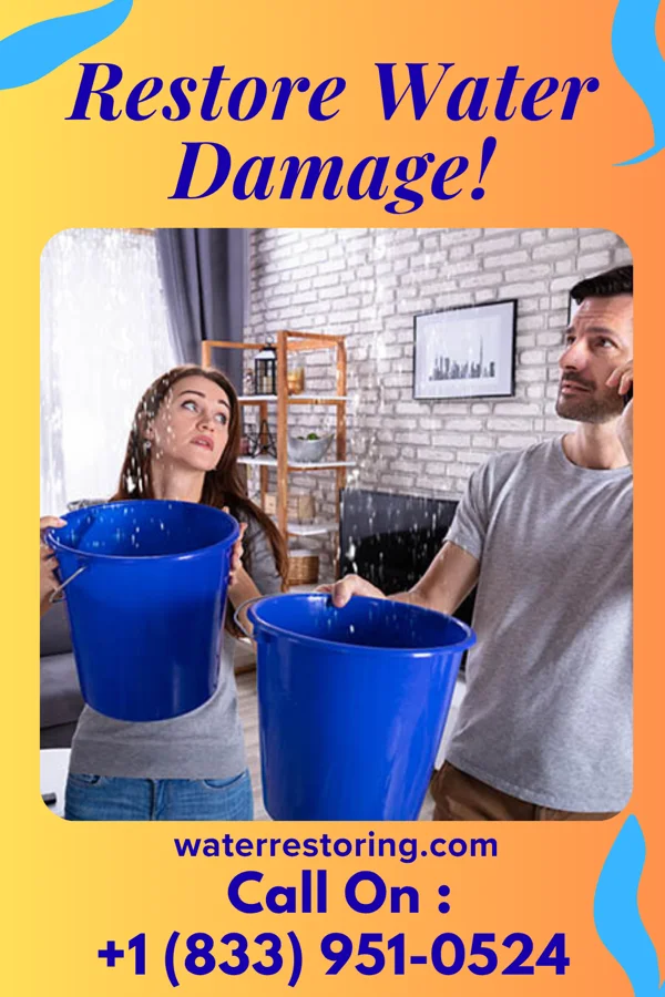 water restoration Shield Water Removal LLC Bryantown